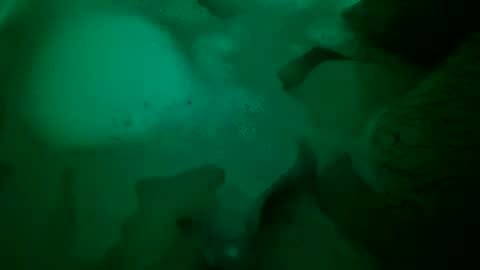 Snapshot of just4funfunfun87 chatting on 12/22/24, 06:48 Yuri online show from 12/22/24, 06:48