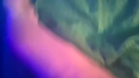 Snapshot of just4funfunfun87 chatting on 03/08/25, 12:11 Yuri online show from 03/08/25, 12:11