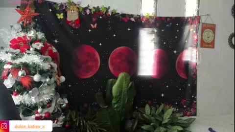 Snapshot of just_katiex chatting on 12/31/24, 09:28 Sofia online show from 12/31/24, 09:28