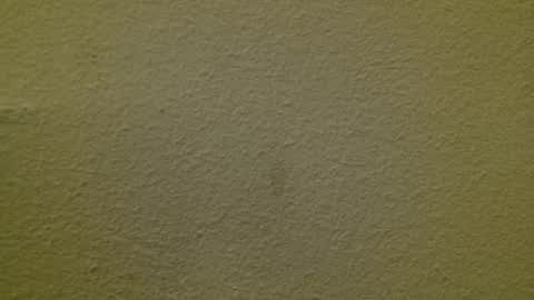 Just marlon online show from 03/03/25, 02:15