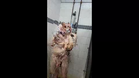 Snapshot of justatoysoldier1973 chatting on 04/07/26, 05:13 Just a Toy Soldier online show from 04/07/26, 05:13