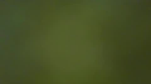 McKeefer online show from 01/23/25, 05:10