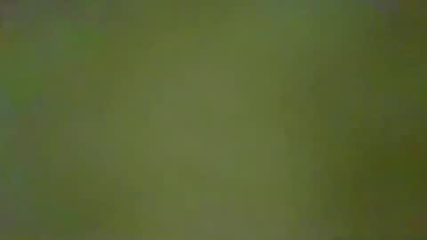 McKeefer online show from 01/18/26, 05:28