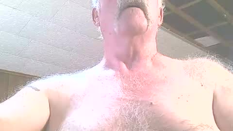 Snapshot of justdon chatting on 06/24/26, 03:33 justdon online show from 06/24/26, 03:33