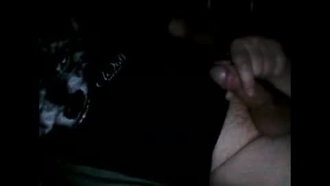 justpervfun online show from 12/08/24, 06:39