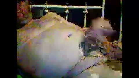 justpervfun online show from 01/15/25, 12:41