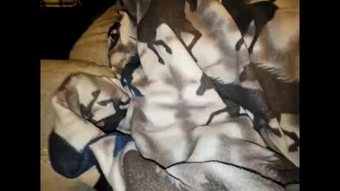 Snapshot of justswack chatting on 12/07/24, 08:44 justswack online show from 12/07/24, 08:44