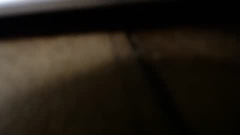 Snapshot of jwb9999 chatting on 12/06/24, 04:47 jwb9999 online show from 12/06/24, 04:47