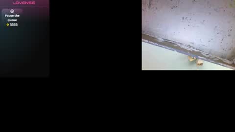 k36620146 online show from 03/03/26, 09:48