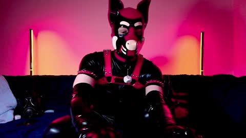 Snapshot of k9_goodboy chatting on 02/25/26, 07:12 Alex online show from 02/25/26, 07:12