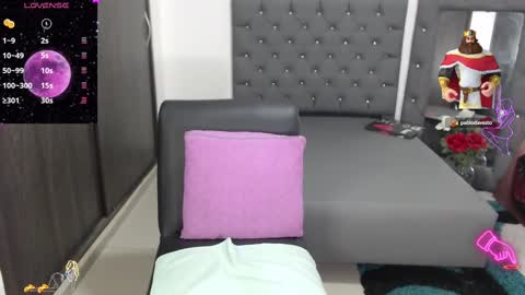 Snapshot of kaarlaa_ chatting on 03/04/25, 08:38 Karla online show from 03/04/25, 08:38