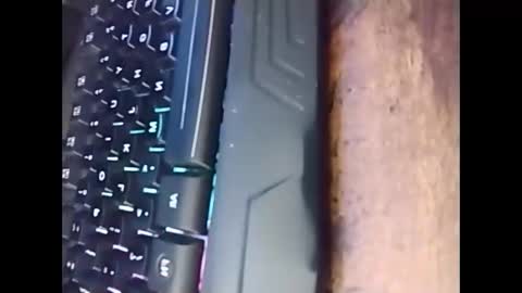 Snapshot of kabriggs137 chatting on 03/09/25, 07:59 kabriggs137 online show from 03/09/25, 07:59