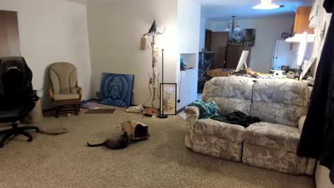 Kaiku77 online show from 01/05/26, 08:01