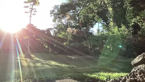 Snapshot of kaileeshy chatting on 09/10/25, 03:28 Kailee Smile online show from 09/10/25, 03:28