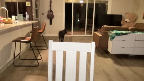 Snapshot of kaileeshy chatting on 09/27/25, 04:39 Kailee Smile online show from 09/27/25, 04:39