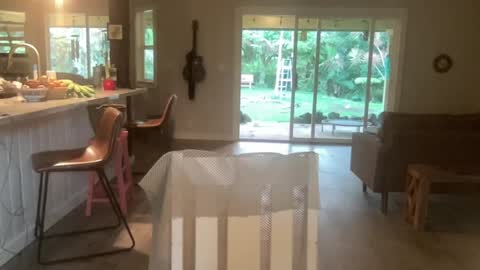 Snapshot of kaileeshy chatting on 10/01/25, 03:56 Kailee Smile online show from 10/01/25, 03:56