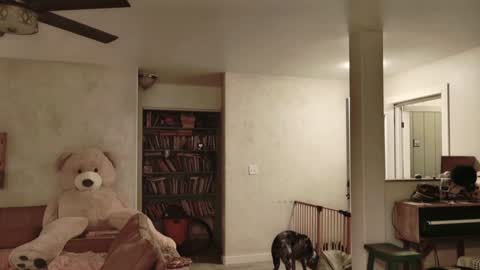 Snapshot of kaileeshy chatting on 11/27/25, 04:58 Kailee Smile online show from 11/27/25, 04:58