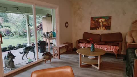 Snapshot of kaileeshy chatting on 01/08/26, 03:42 Kailee Smile online show from 01/08/26, 03:42