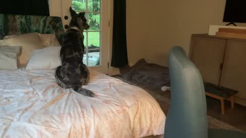 Snapshot of kaileeshy chatting on 02/07/26, 04:16 Kailee Smile online show from 02/07/26, 04:16