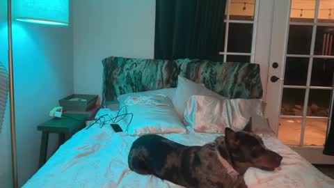 Snapshot of kaileeshy chatting on 02/10/26, 05:00 Kailee Smile online show from 02/10/26, 05:00