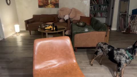 Snapshot of kaileeshy chatting on 03/06/26, 04:53 Kailee Smile online show from 03/06/26, 04:53