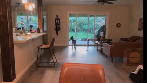 Snapshot of kaileeshy chatting on 03/21/26, 04:28 Kailee Smile online show from 03/21/26, 04:28