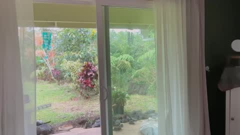 Snapshot of kaileeshy chatting on 03/30/26, 02:01 Kailee Smile online show from 03/30/26, 02:01