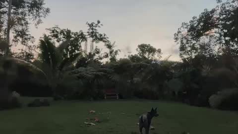 Snapshot of kaileeshy chatting on 04/24/26, 04:15 Kailee Smile online show from 04/24/26, 04:15