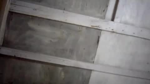 kakaroto30102 online show from 02/17/25, 08:09