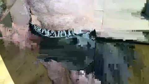 Snapshot of kalem48 chatting on 12/22/24, 08:27 MusicMen49 online show from 12/22/24, 08:27