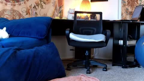 Tara Smith online show from 01/30/25, 06:54