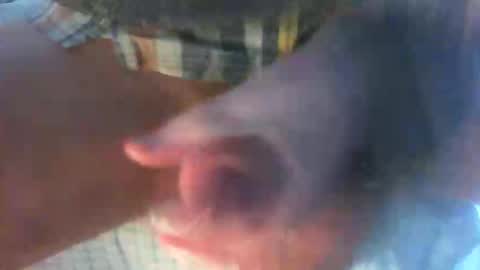 Snapshot of kamabo2 chatting on 04/07/26, 05:35 kamabo2 online show from 04/07/26, 05:35