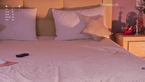 Kamelllya online show from 02/02/25, 08:35