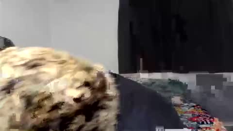 Snapshot of kammy_cami chatting on 04/09/26, 12:54 kammy y camila online show from 04/09/26, 12:54