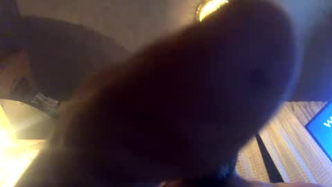 Snapshot of kaneisyours2420 chatting on 09/23/25, 08:06 Tucker online show from 09/23/25, 08:06