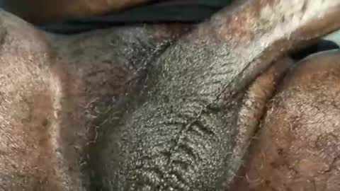 Snapshot of karadi5 chatting on 12/04/24, 09:40 Snookie online show from 12/04/24, 09:40