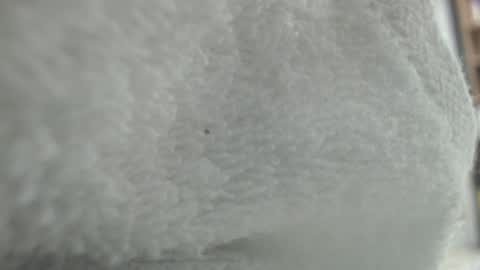 Karin online show from 01/20/25, 11:35