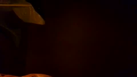 Karla Gonzaless online show from 11/04/25, 06:56