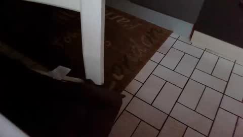 Kev online show from 10/31/25, 07:42