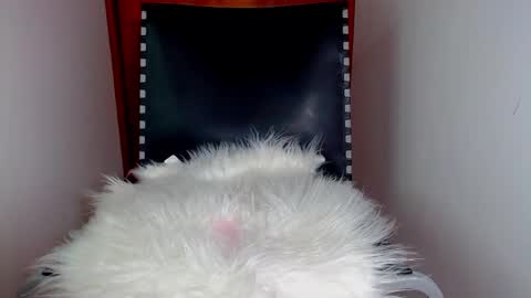 Snapshot of katalinaferreirax chatting on 12/17/24, 08:54 katalinaferreirax online show from 12/17/24, 08:54