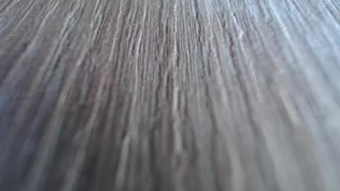 Katalleya online show from 12/15/24, 09:56