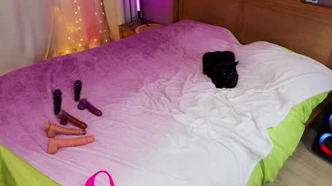 Snapshot of kate_sexhouse chatting on 12/05/24, 12:22 Kate Sex-House MILA WAYGMT2 MonTue 0300am-1500am online show from 12/05/24, 12:22