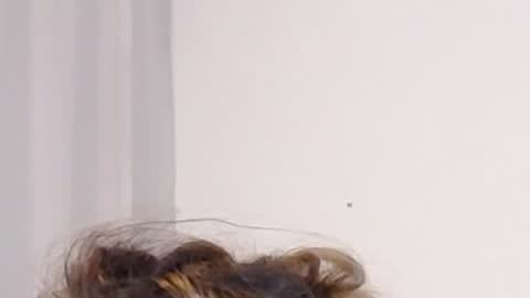 Help me with rate thanks  online show from 12/03/24, 05:09