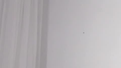 Help me with rate thanks  online show from 02/16/25, 05:15