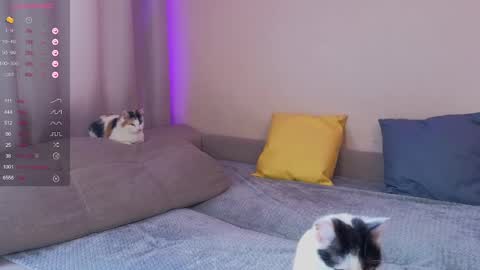 Snapshot of katerinnna chatting on 01/30/25, 05:52 Katerina online show from 01/30/25, 05:52