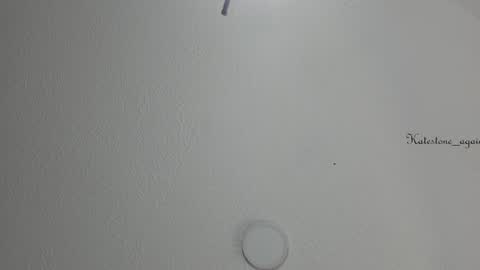 Snapshot of katestone_again chatting on 02/06/25, 03:20 love meeee online show from 02/06/25, 03:20