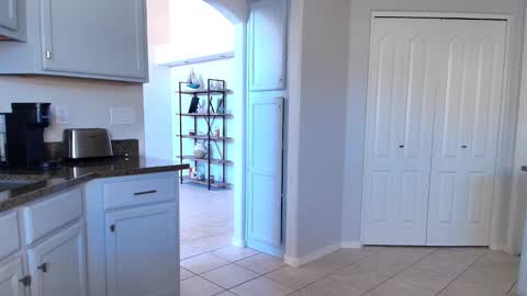 Snapshot of kats_a_tease chatting on 02/12/26, 06:36 Kat online show from 02/12/26, 06:36