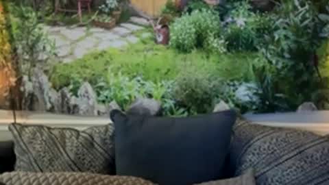 katy_chris online show from 06/04/26, 06:19