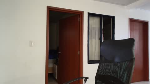 Kauri Lop online show from 12/13/24, 08:04