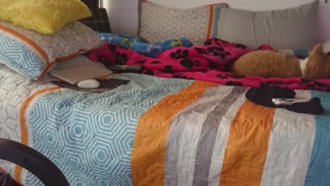  Khawit  online show from 09/14/25, 12:15